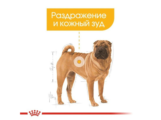 Royal Canin для собак Medium Dermacomfort, 10.0кг