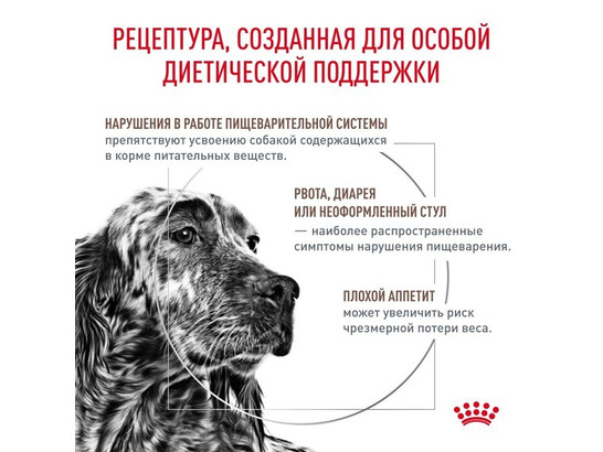 Royal Canin для собак Gastrointestinal, 2.0кг