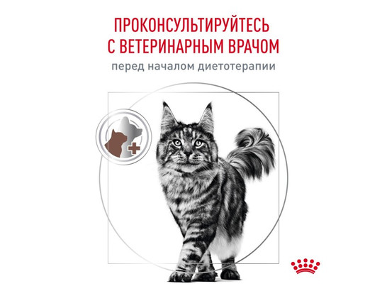 Royal Canin для кошек Gastrointestinal Fibre Response, 2.0кг