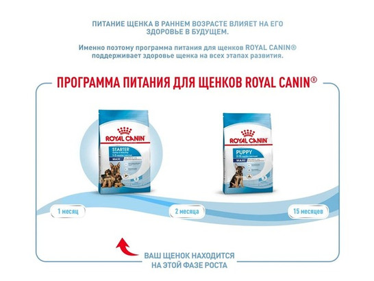Royal Canin для щенков Maxi Starter, 4.0кг 