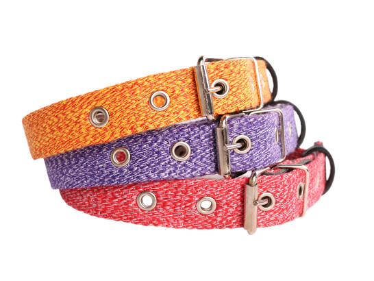 Ошейник 25мм 41-53см тесьма х/б CoLLaR, Коллар