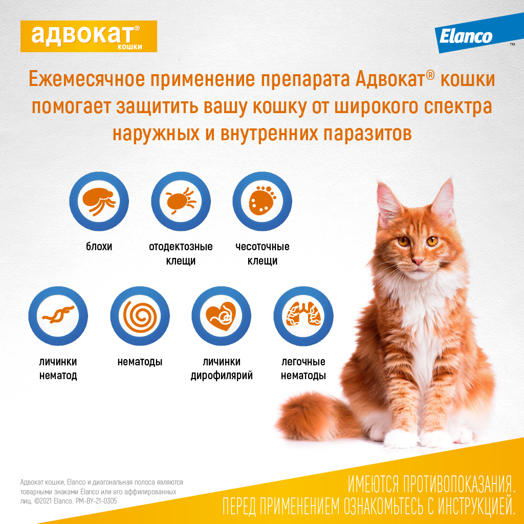 4_Advocate_cat_from4kg_3pip_parasites.jpg