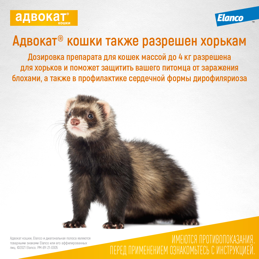 6_Advocate_cat_to4kg_3pip_ferret.jpg