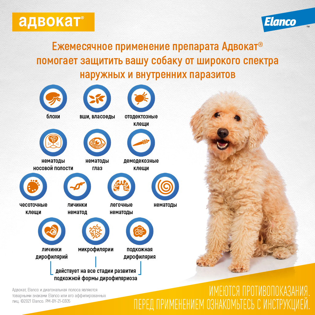 4_Advocate_dog_10-25kg_3pip_parasites.jpg