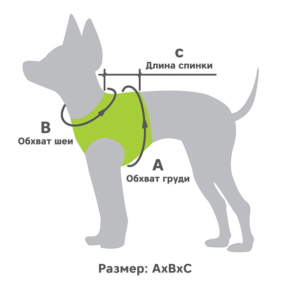 шлей
