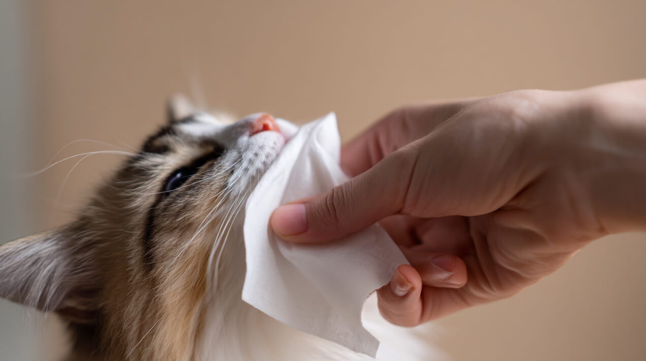 Чистящие салфетки