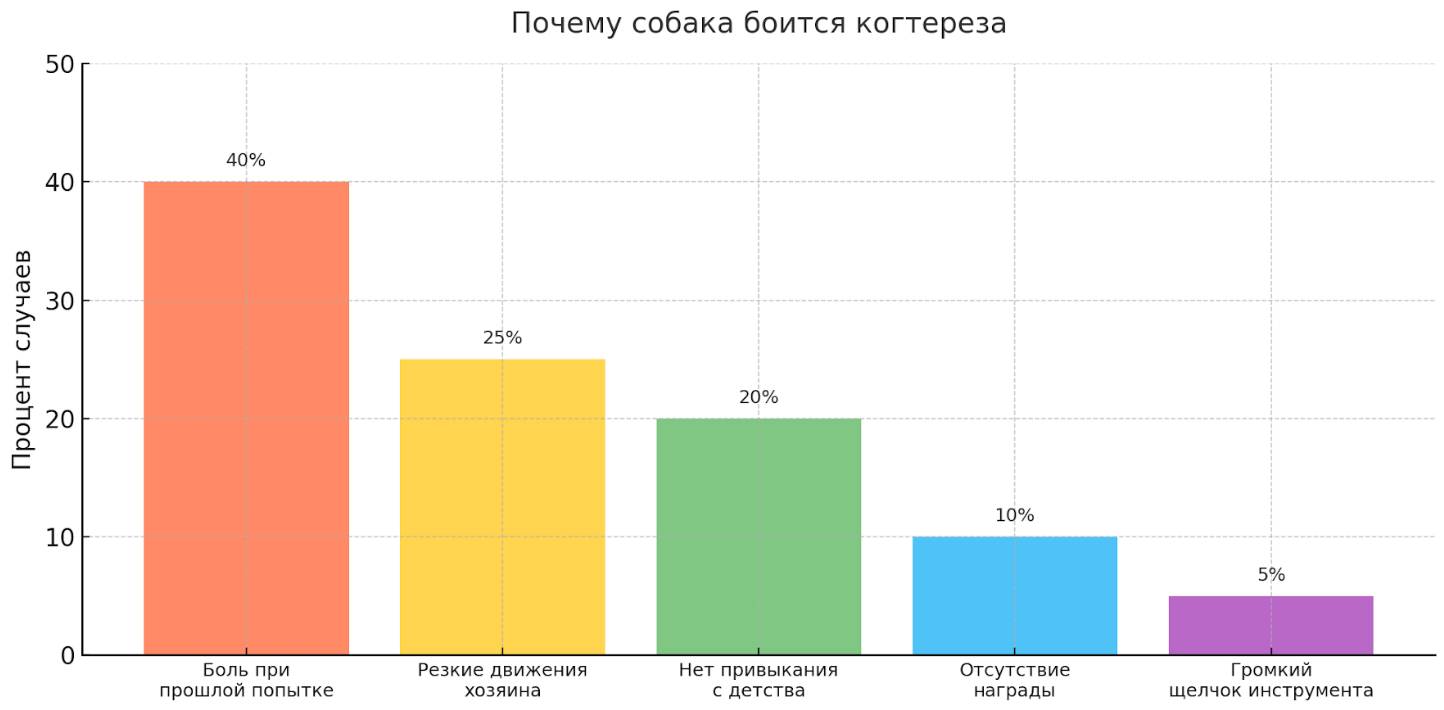 Как приучить собаку стричь когти и как часто это нужно делать