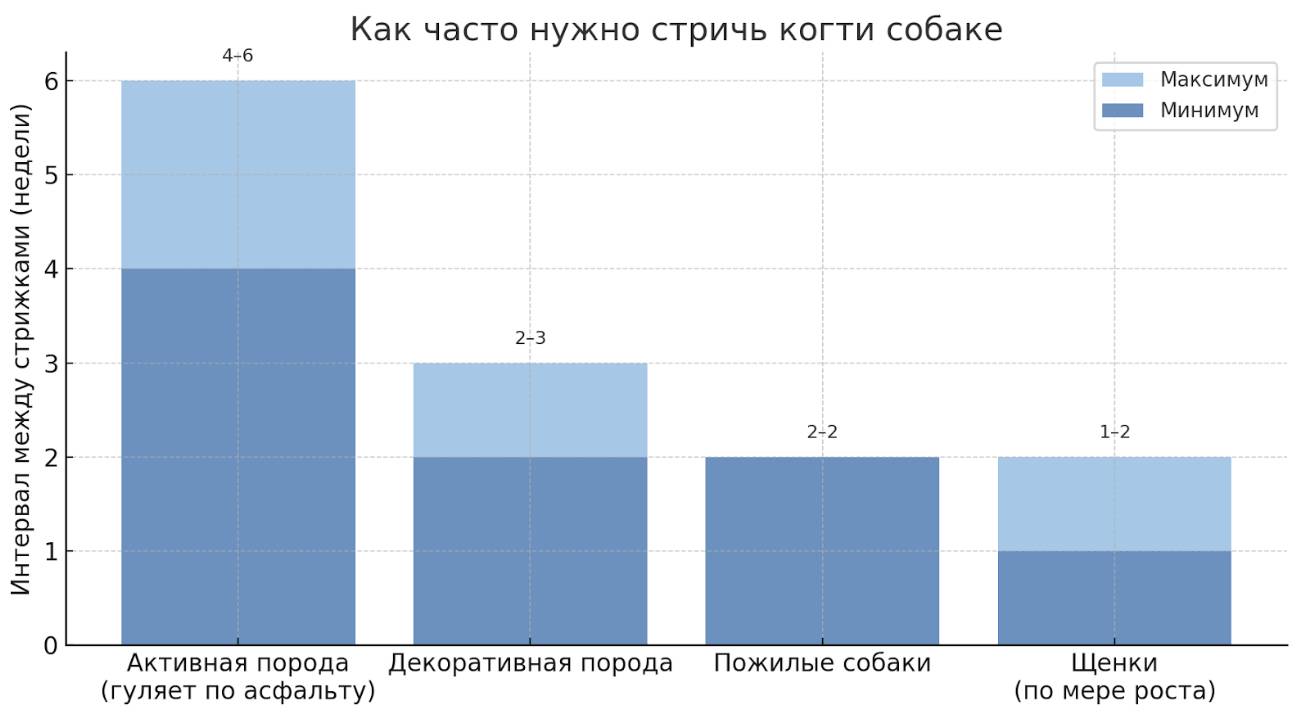 Как приучить собаку стричь когти и как часто это нужно делать