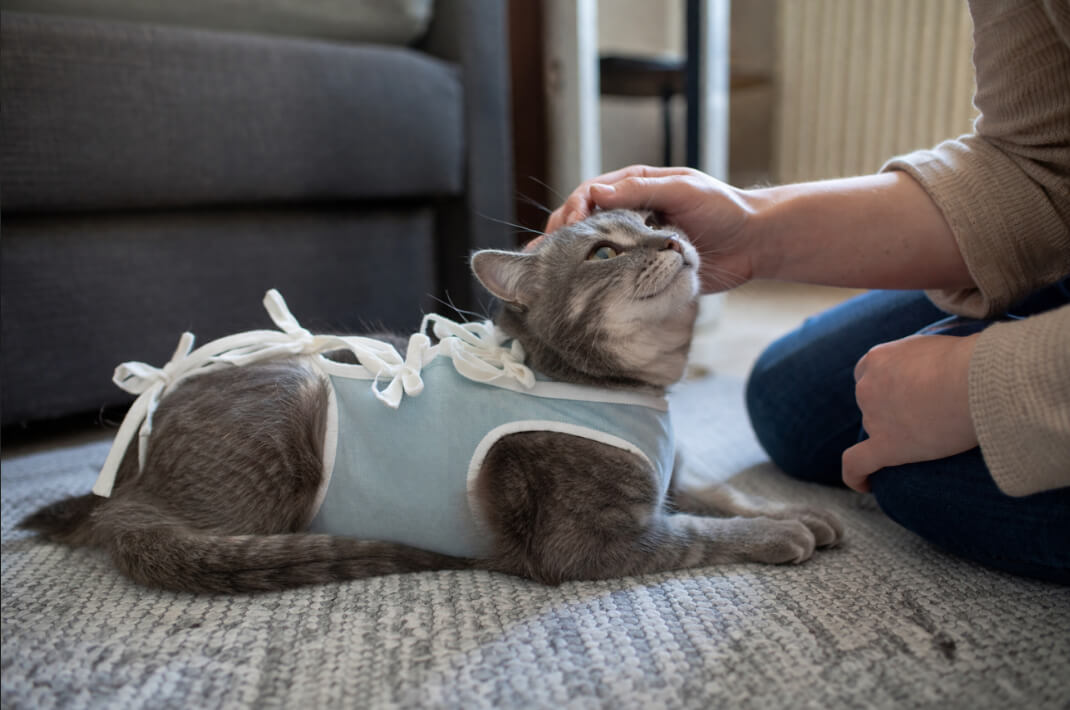 Уход за попоной и её замена