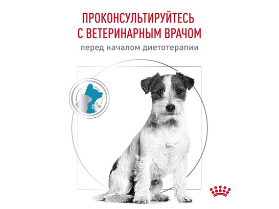 Royal Canin для собак Hypoallergenic Small Dogs, 3.5кг