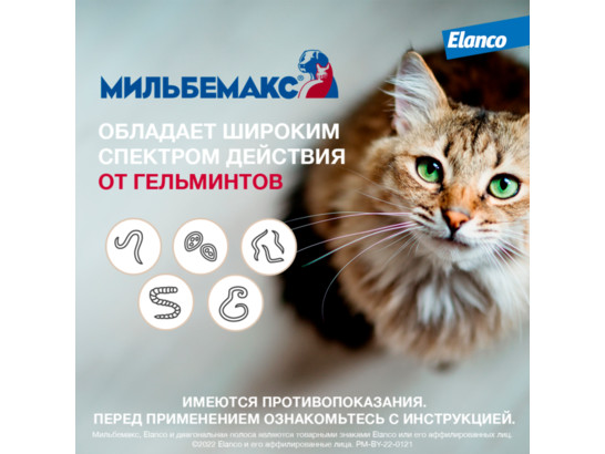 Мильбемакс таблетки для кошек от 2 до 8 кг, 24 упаковки, по 2 таблетки