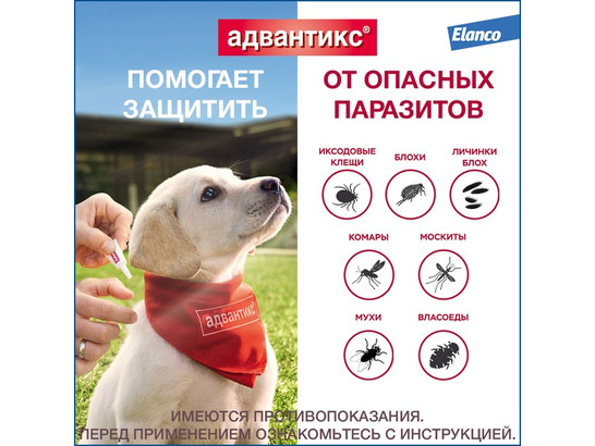 Капли Адвантикс-100 д/с 4-10кг, упаковка 1 пипетка, Байер*