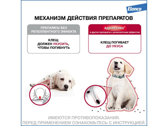 Капли Адвантикс-100 д/с 4-10кг, упаковка 1 пипетка, Байер*