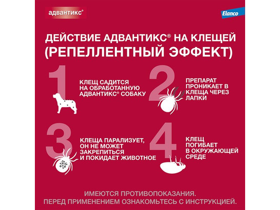 Капли Адвантикс-100 д/с 4-10кг, упаковка 1 пипетка, Байер*
