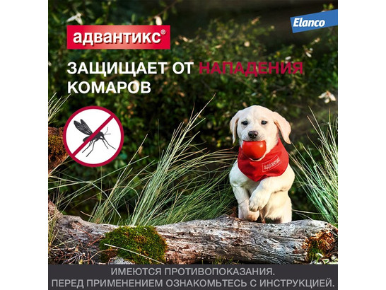 Капли Адвантикс-100 д/с 4-10кг, упаковка 1 пипетка, Байер*