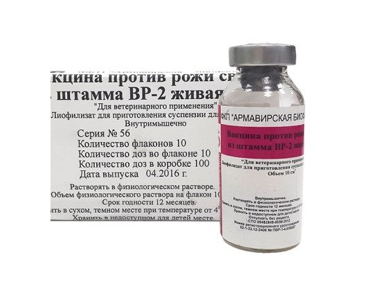 Вакцина против рожи свиней ВР-2 /10 доз.флак/Армавир/
