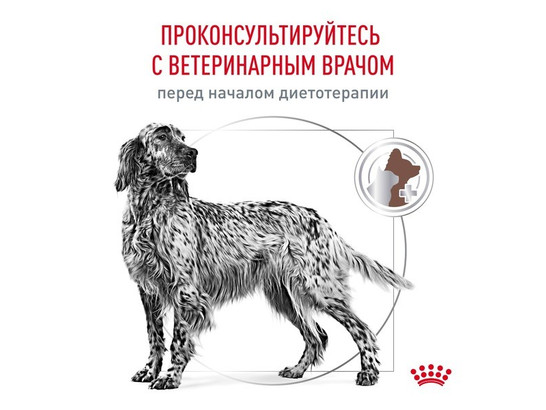 Royal Canin для собак Gastrointestinal, 2.0кг