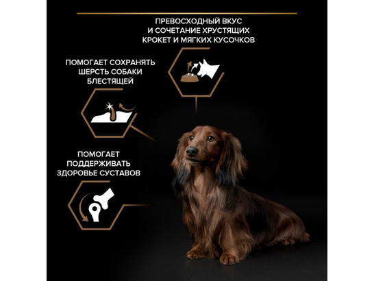 Pro Plan для собак мелких пород Duo Delice Small&Mini Adult, 0.7кг