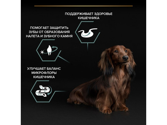 Pro Plan для собак мелких пород Small&Mini Adult, 0.7кг