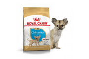 Royal Canin для щенков Chihuahua (Чихуахуа) Puppy, 0.5кг 