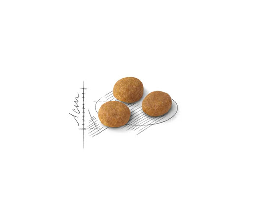 Royal Canin для кошек Aroma Exigent, 0.4кг