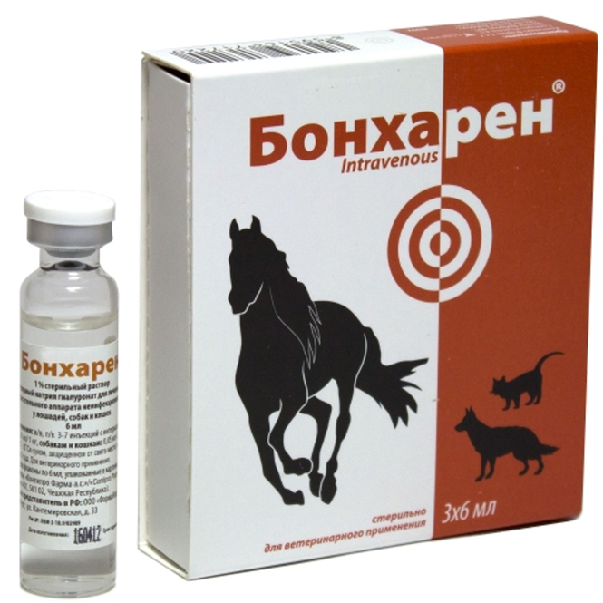 Купить В Спб Препараты Биодсо