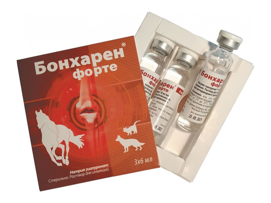Бонхарен Форте 1% 6мл 1-амп.