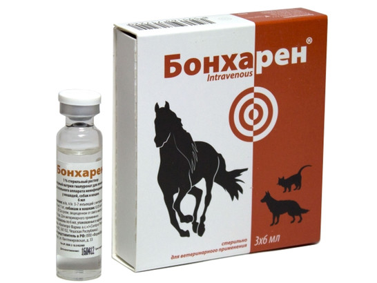 Бонхарен Форте 1% 6мл 1-амп.