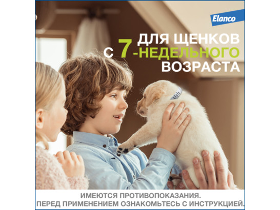 Ошейник Форесто инсект. д/с более 8 кг 70 см /Байер/ 