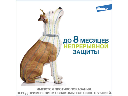 Ошейник Форесто инсект. д/с более 8 кг 70 см /Байер/ 