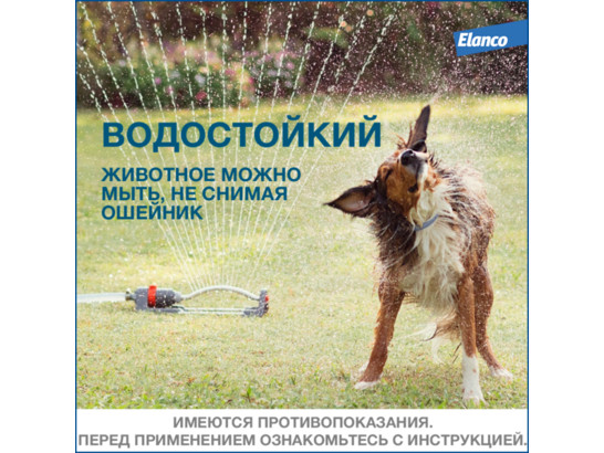 Ошейник Форесто инсект. д/с более 8 кг 70 см /Байер/ 