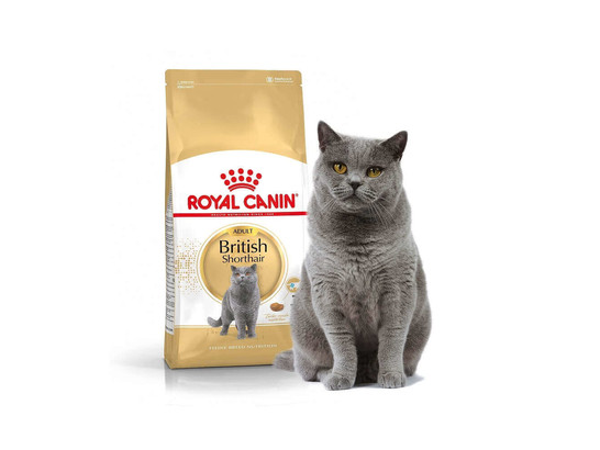 Royal Canin для кошек British Shorthair (Британская) Adult, 4.0кг