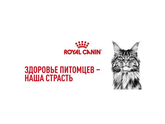 Royal Canin для кошек British Shorthair (Британская) Adult, 4.0кг