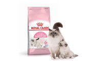Royal Canin для котят и берем./кормящ. кошек Mother & Babycat, 4.0кг