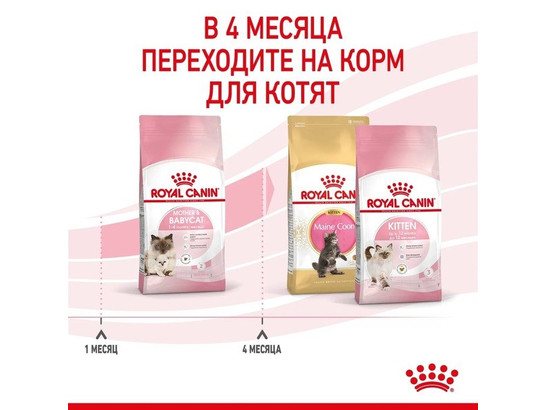Royal Canin для котят и берем./кормящ. кошек Mother & Babycat, 4.0кг