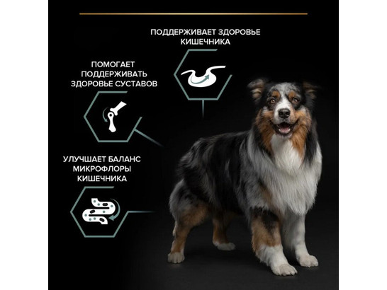 Pro Plan для собак средних пород Medium Adult, 14.0кг
