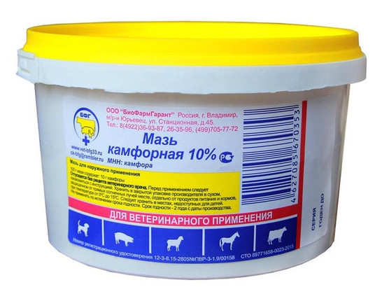 Мазь камфорная 10% 200г /БФГ/24 бан.упак/ 
