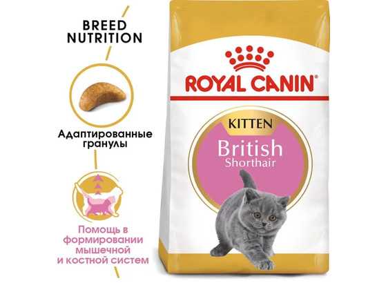 Royal Canin для котят British Shorthair (Британская) Kitten, 2.0кг