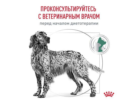 Royal Canin для собак Diabetic, 1.5кг