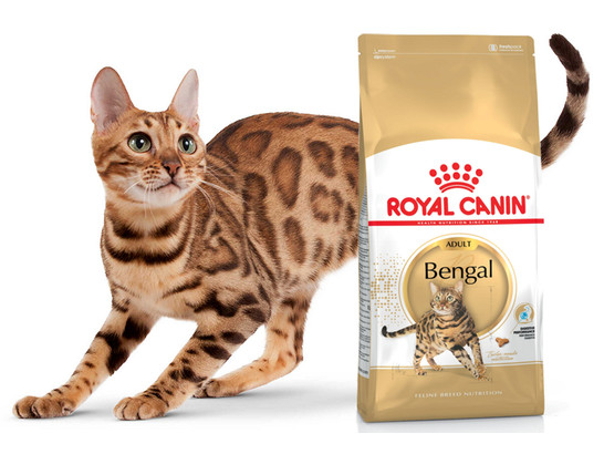 Royal Canin для кошек Bengal (Бенгал) Adult, 2.0кг
