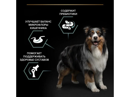 Pro Plan для собак средних пород Medium Adult, 1.5кг
