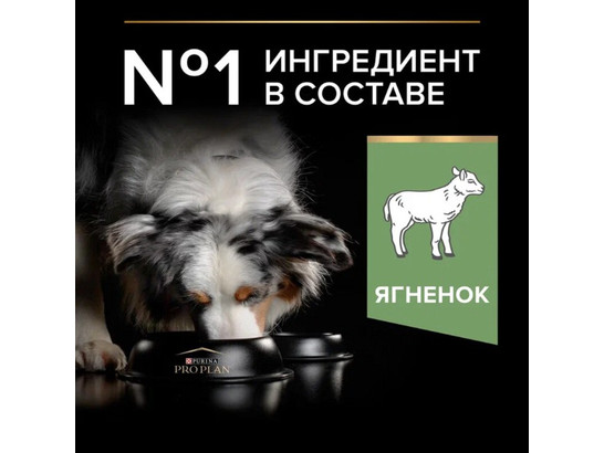 Pro Plan для собак средних пород Medium Adult, 1.5кг