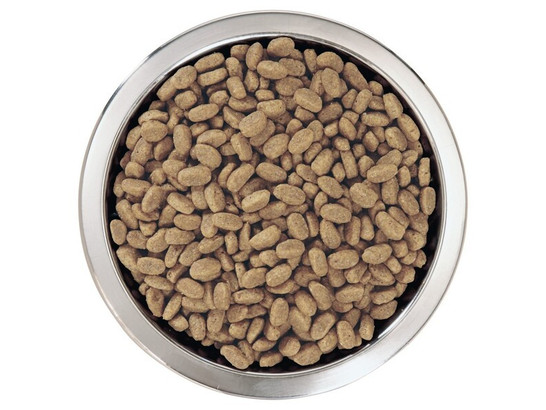 Pro Plan для щенков средних пород Medium Puppy, Чувствит.кожа, Лосось, 1.5кг
