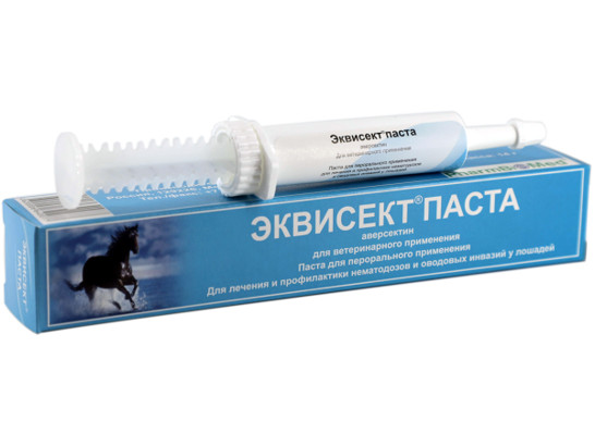 Эквисект паста 1% шприц 14г /Фармбиомедсервис/