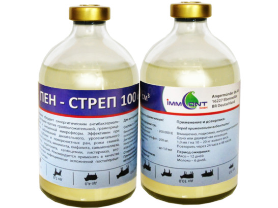 Пен-Стреп 100 мл /ImmContGmbH/