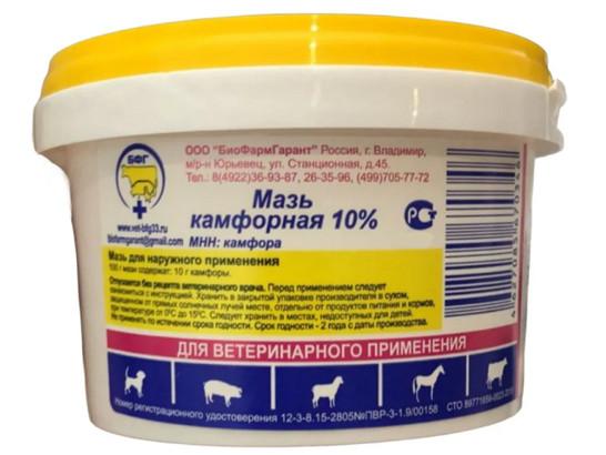 Мазь камфорная 10% 500мл /БФГ/