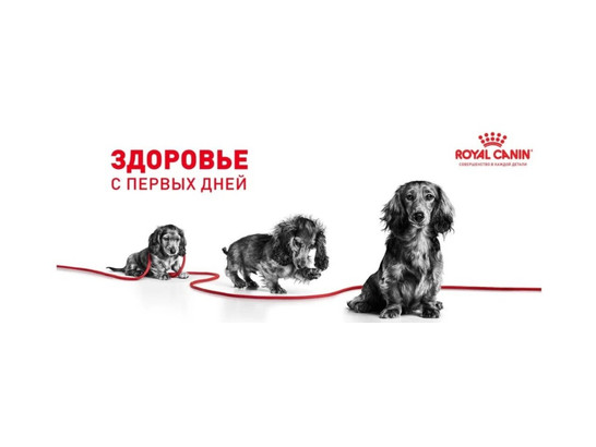 Роял Канин для щенков X-Small Puppy, 1.5кг