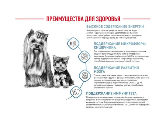 Роял Канин для щенков X-Small Puppy, 1.5кг