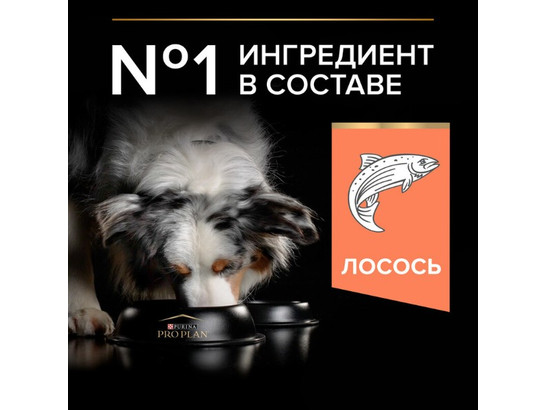 Pro Plan для собак Duo Delice Medium&Large Adult, 10.0кг