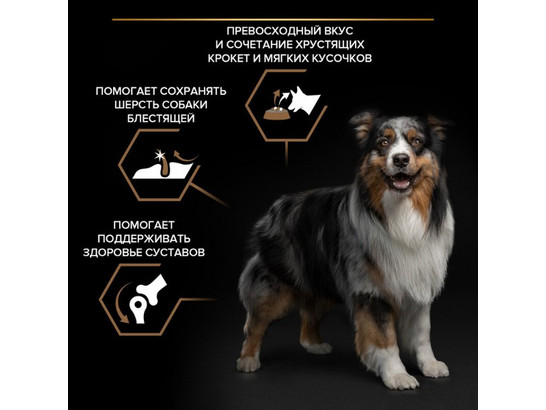 Pro Plan для собак Duo Delice Medium&Large Adult, 10.0кг